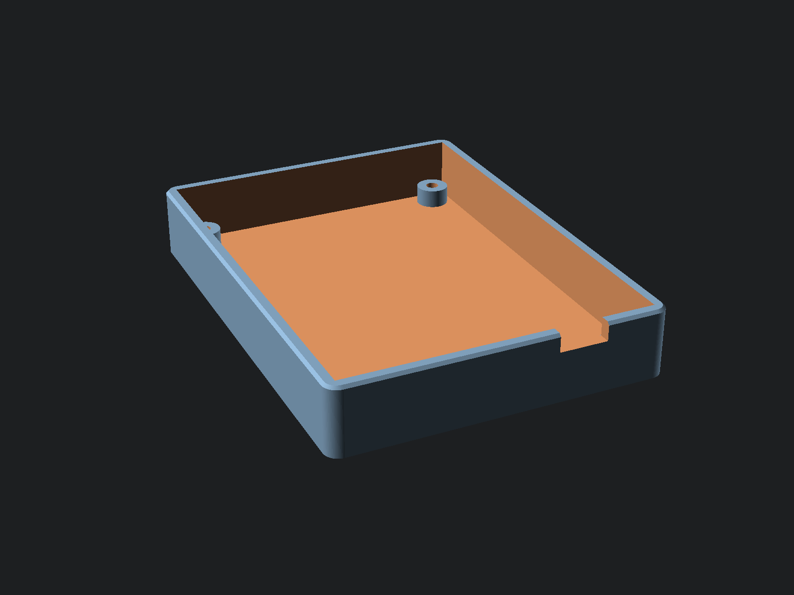 The printed case